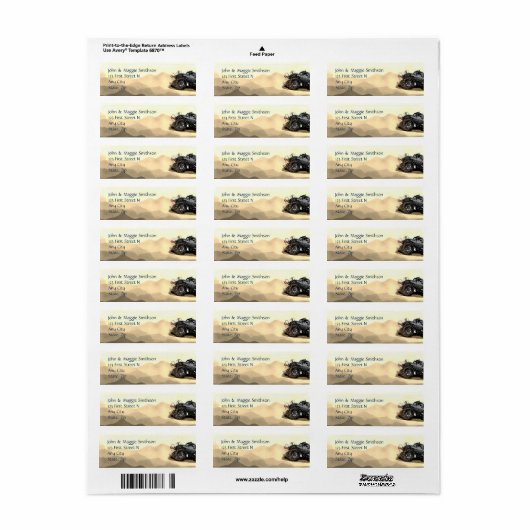 Big Monster Truck Off Road Adventure Mud Bogging (Vorne)