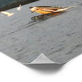 big mouth humpback poster (Ecke)