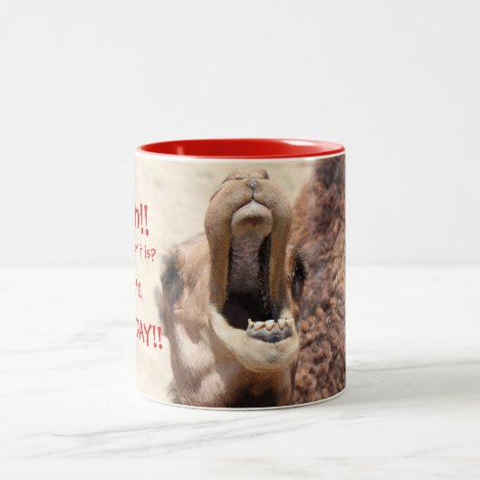 Big Mouthed Camel, Hump Day Red Tasse (Mittel)