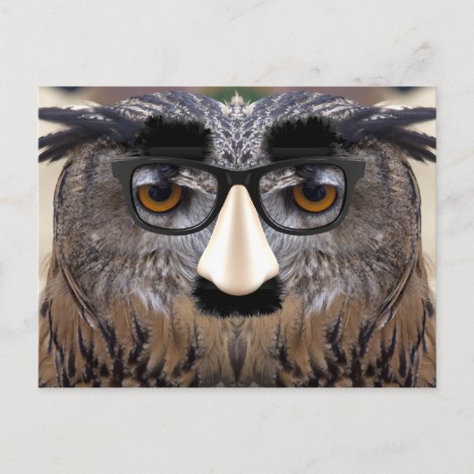 Big Nose Bird Postkarte (Vorderseite)