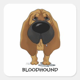 Big Nose Bloodhound Quadratischer Aufkleber