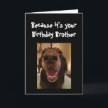 Big Nose Dog Funny Birthday Brother Liebe Hund Karte<br><div class="desc">Bruder Weil es dein Geburtstag ist und ich es nase,  deshalb bekommst du diese Karte.   Glücklicher Geburtstag niedlicher Spaß Big Nose Dog Tierspass</div>
