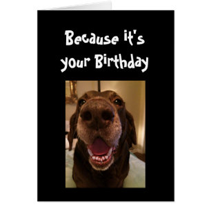 Big Nose Dog Funny Geburtstag Liebe Hund