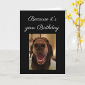 Big Nose Dog Funny Geburtstag Liebe Hund Karte (Gelbe Blume)