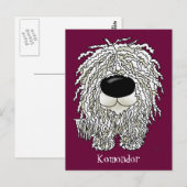 Big Nose Komondor Postkarte (Vorne/Hinten)