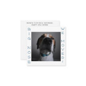 Big Nosed Dog Änderung der Adresse Postcard Mitteilungskarte (Vorderseite/Rückseite Beispiel)