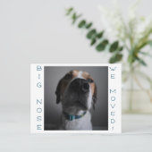 Big Nosed Dog Änderung der Adresse Postcard Postkarte (Stehend Vorderseite)