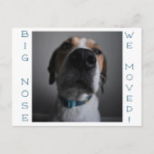 Big Nosed Dog Änderung der Adresse Postcard Postkarte (Vorderseite)