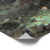 Big 'Ol Pair of Bigeyes Poster (Ecke)