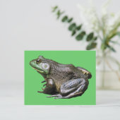 Big Old Bullfrog Animal Postcard Postkarte (Stehend Vorderseite)