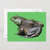 Big Old Bullfrog Animal Postcard Postkarte (Vorne/Hinten)
