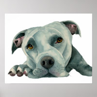 Big Ol'Head | Pit Bull Dog Aquarellmalerei