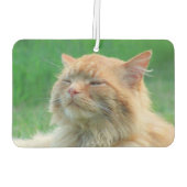 Big Orange Cat sagt "Fresh" Autolufterfrischer (Rückseite)