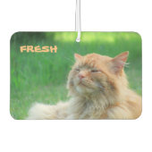 Big Orange Cat sagt "Fresh" Autolufterfrischer (Vorderseite)