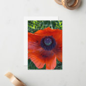 Big Orange Oriental Poppy Mitteilungskarte (Vorderseite/Rückseite Beispiel)