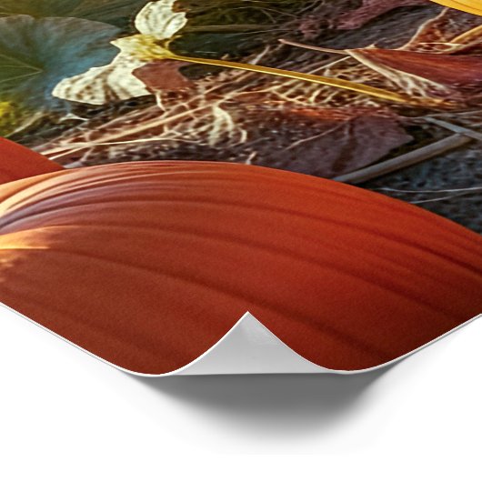 Big Orange Poster (Ecke)