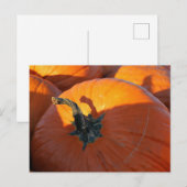 Big Orange Pumpkin Postkarte (Vorne/Hinten)