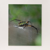 Big Orb Weaver Spider on Web Nature Puzzle (Vertikal)
