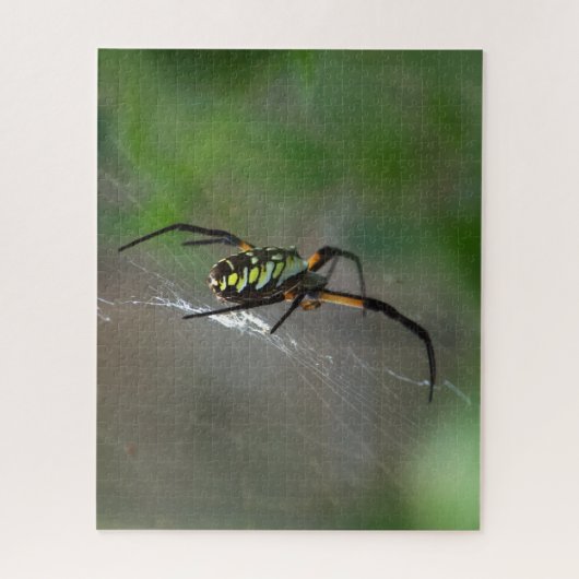 Big Orb Weaver Spider on Web Nature Puzzle (Vertikal)