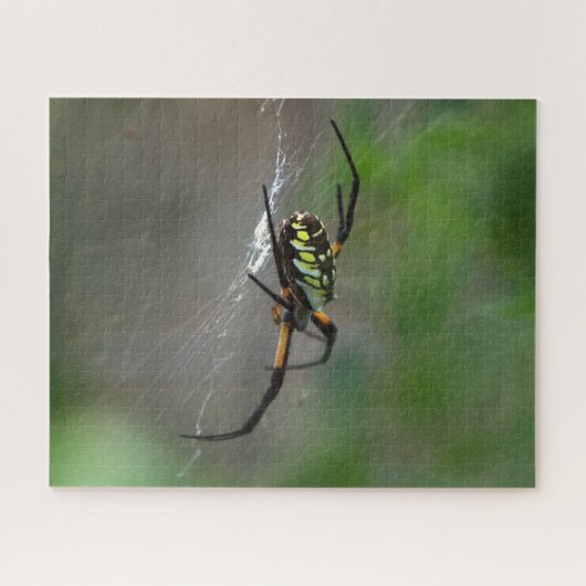 Big Orb Weaver Spider on Web Nature Puzzle (Horizontal)