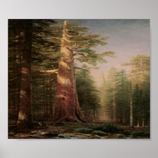 Big Pine Tree Vintag Art Print Poster (Vorne)