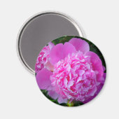Big Pink Blume Magnet (Vorderseite/Rückseite)