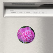 Big Pink Blume Magnet (In Situ (Geschirrspüler))