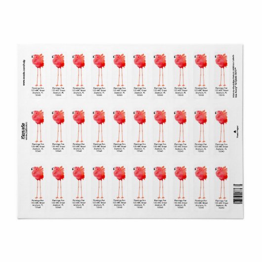 Big Pink Flamingo Label (Vorne)