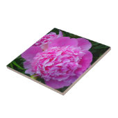 Big Pink Peony Tile Fliese (Seite)