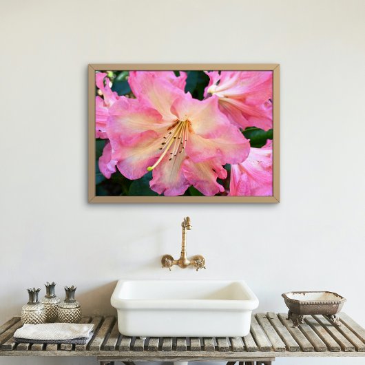 Big Pink Rhododendron Bloom Floral Fotodruck