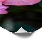 Big Pink Rhododendron Bloom Floral Poster (Ecke)