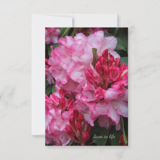 Big Pink Rhododendron Mitteilungskarte (Vorderseite)