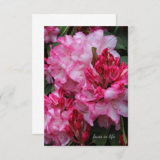 Big Pink Rhododendron Mitteilungskarte (Vorne/Hinten)