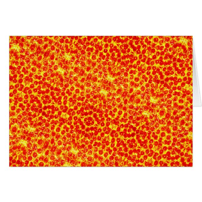 Big Pizza Pattern (Vorderseite (Horizontal))