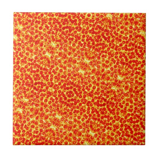 Big Pizza Pattern Fliese (Vorderseite)