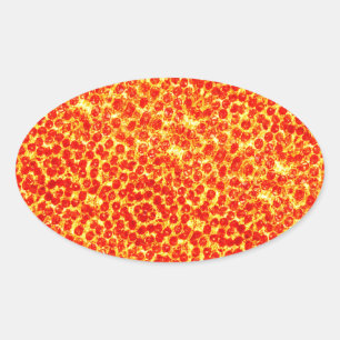 Big Pizza Pattern Ovaler Aufkleber