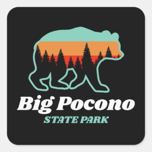 Big Pocono Staat Park PA Bär Retro Vintag Quadratischer Aufkleber