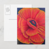 Big Poppy 2003 Postkarte (Vorne/Hinten)