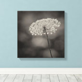 Big Queen Anne's Spitzen Blume Soft Background Sep Leinwanddruck (Insitu (Holzboden))