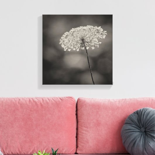 Big Queen Anne's Spitzen Blume Soft Background Sep Leinwanddruck (Insitu (Wohnzimmer))