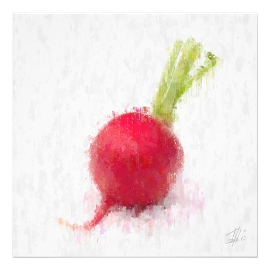 Big Radish Fotodruck (Vorne)