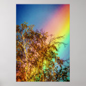 Big Rainbow Poster (Vorne)