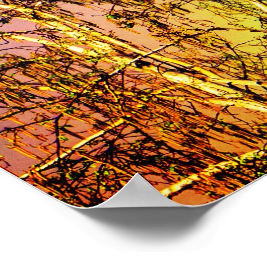 Big Rainbow Poster (Ecke)