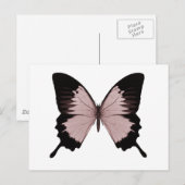 Big Red & Black Butterfly Postkarte (Vorne/Hinten)