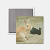 Big Red Bunny Magnet (Vorderseite/Rückseite)