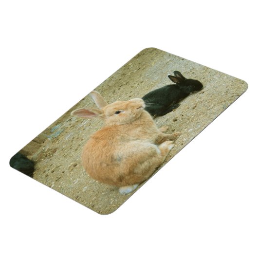 Big Red Bunny Magnet (Linke Seite)