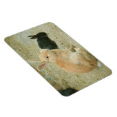 Big Red Bunny Magnet (Rechte Seite)