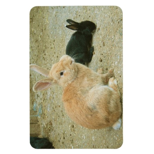 Big Red Bunny Magnet (Vertikal)