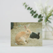 Big Red Bunny Postkarte (Stehend Vorderseite)