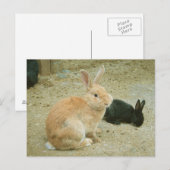 Big Red Bunny Postkarte (Vorne/Hinten)